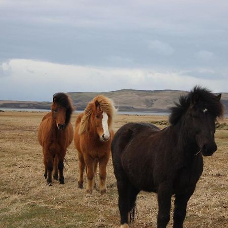 Prestshus 2 Guesthouse Vík Kültér fotó