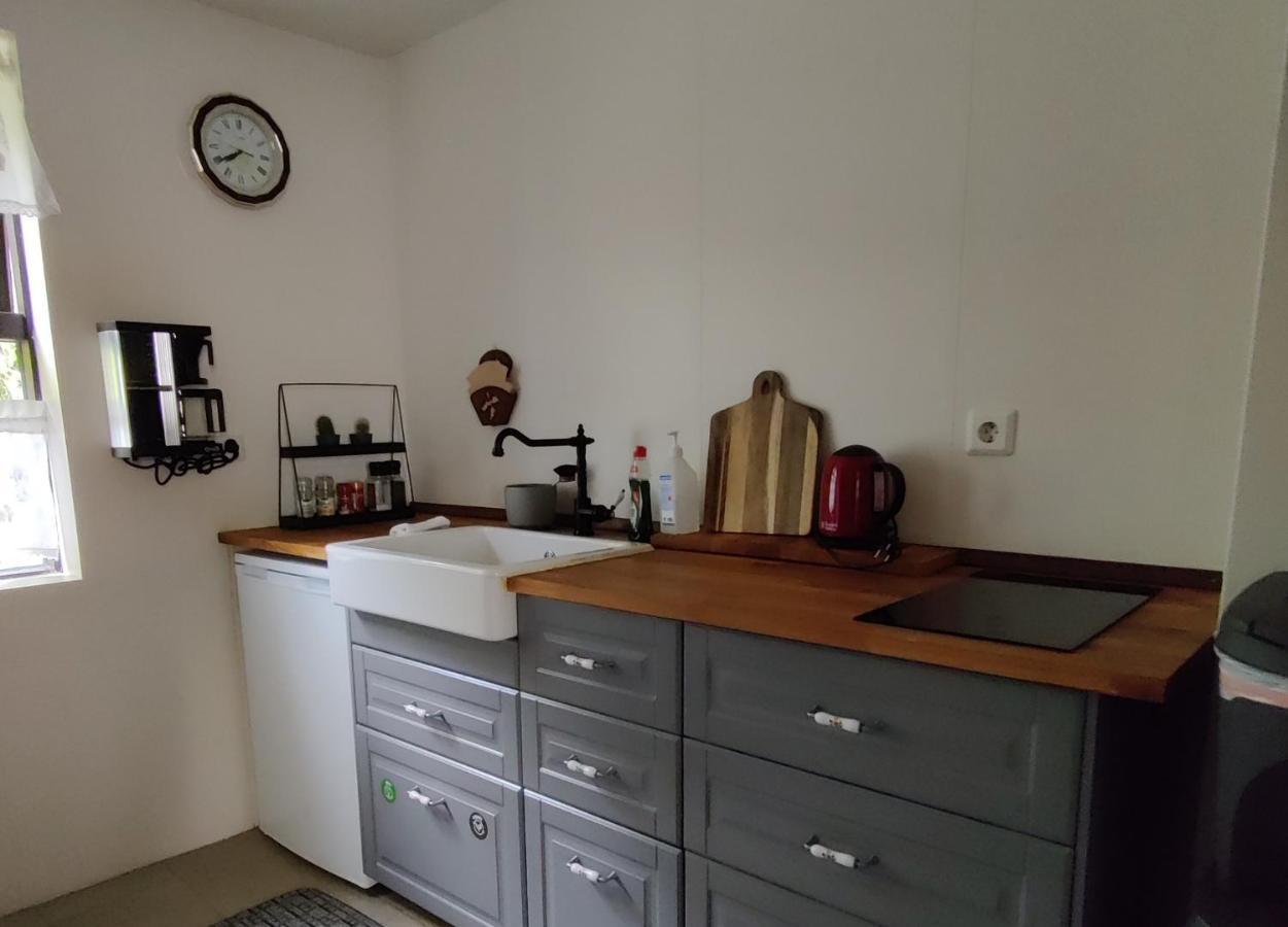 Prestshus 2 Guesthouse Vík Kültér fotó