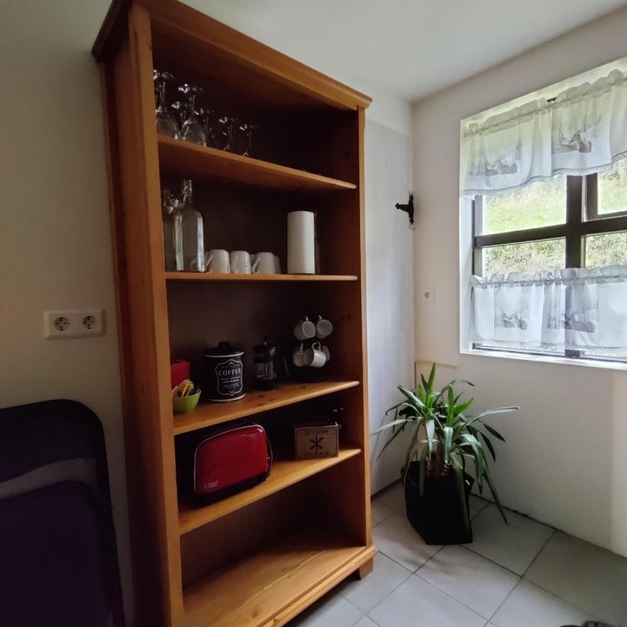 Prestshus 2 Guesthouse Vík Kültér fotó