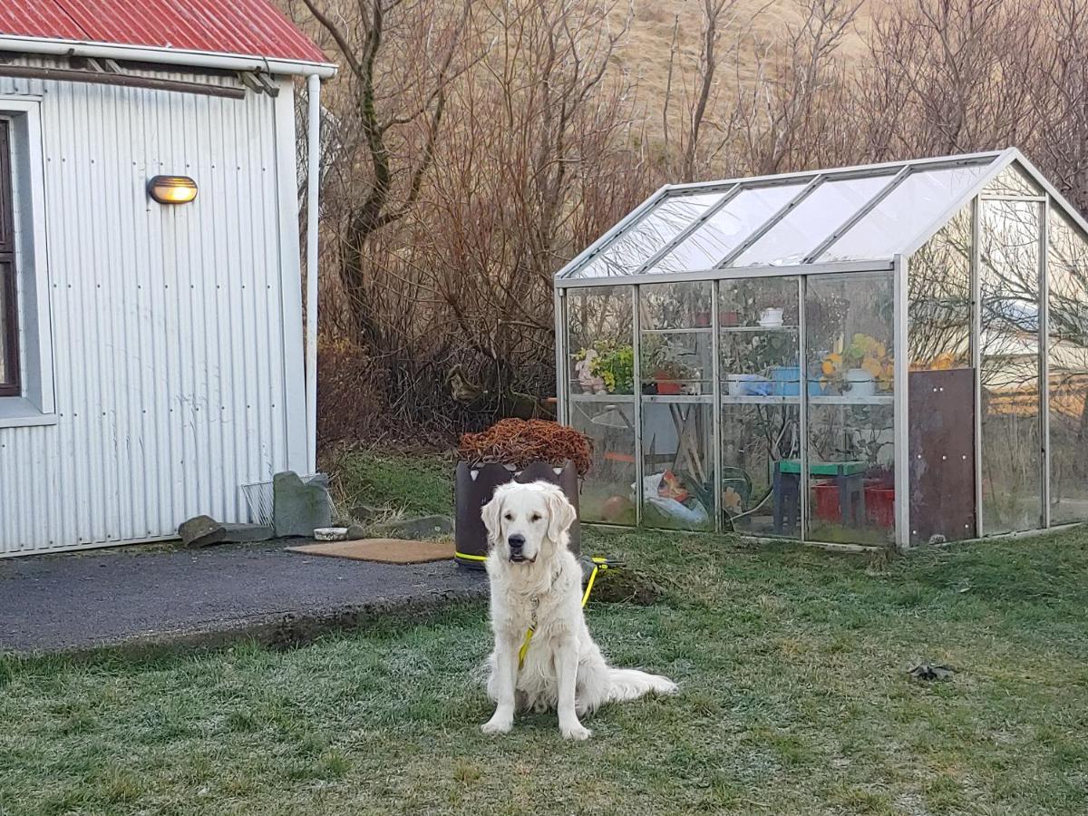 Prestshus 2 Guesthouse Vík Kültér fotó