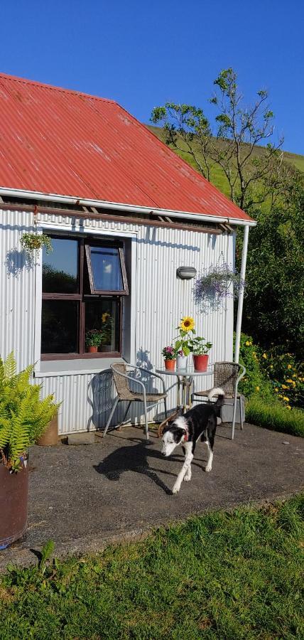 Prestshus 2 Guesthouse Vík Kültér fotó