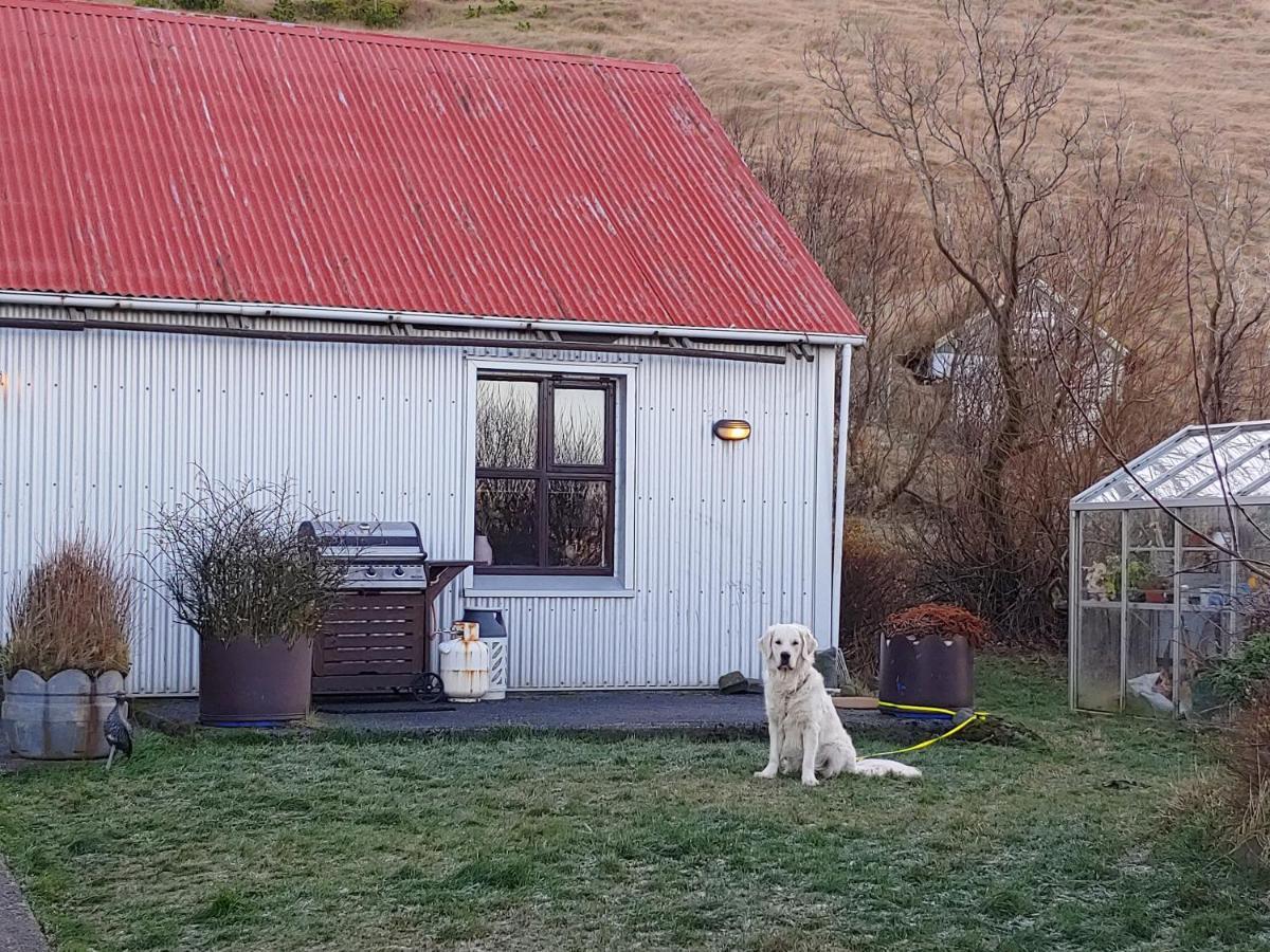 Prestshus 2 Guesthouse Vík Kültér fotó
