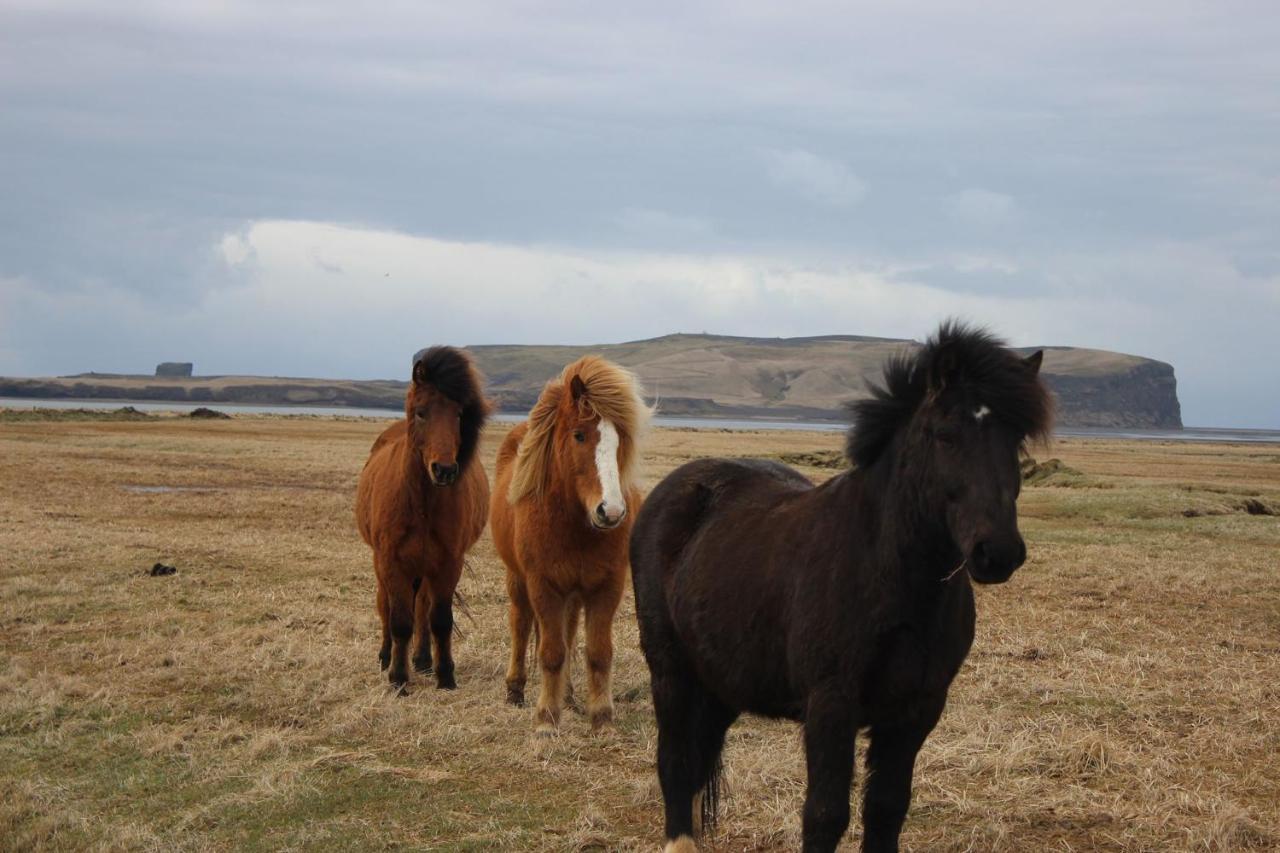 Prestshus 2 Guesthouse Vík Kültér fotó